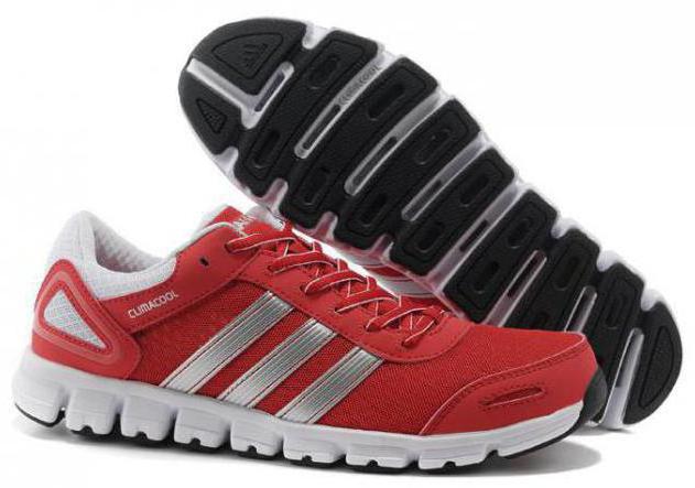 Кросівки Adidas Climacool - спортивне взуття, яка приносить задоволення