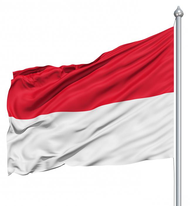 Прапор Індонезії: вид, значення, історія